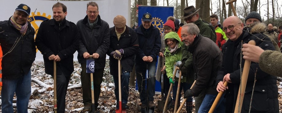  - Bonner Rotarier pflanzen 800 Bäume auf der Waldau