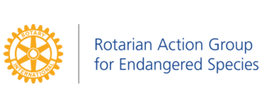 Rotary Action Group for Endangered Species - Kleine Elefanten